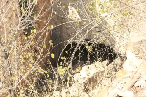 Molinos-Hellin-Venta-del-Vidrio10