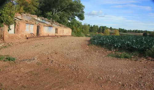 Molinos-Hellin-de-Blas-Garcia-o-San-Diego2