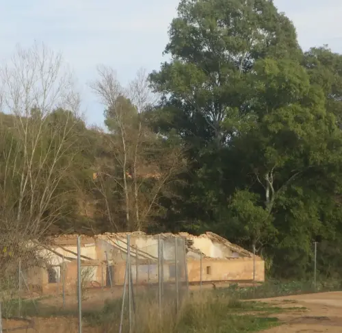 Molinos-Hellin-de-Blas-Garcia-o-San-Diego3