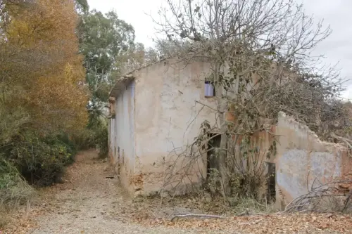 Molinos-Hellin-de-Blas-Garcia-o-San-Diego4