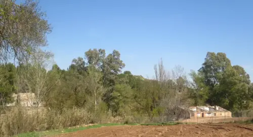 Molinos-Hellin-de-Blas-Garcia-o-San-Diego6