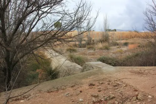 Molinos-Isso-Hellin-Molino-de-Cuquete3