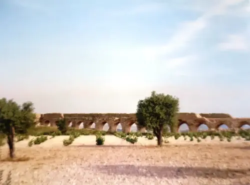 Molinos-Montealegre5