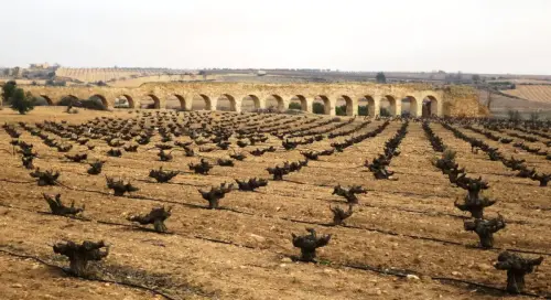 Molinos-Montealegre6