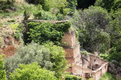 Molinos-Nerpio-Vizcable2