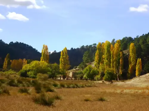 Molinos-Penascosa-Arteaga4