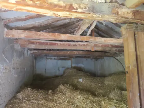 Molinos-Robledo-El-Vinculo20