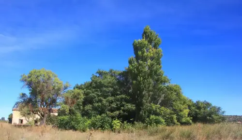 Molinos-Robledo-Ojos-de-Villaverde3