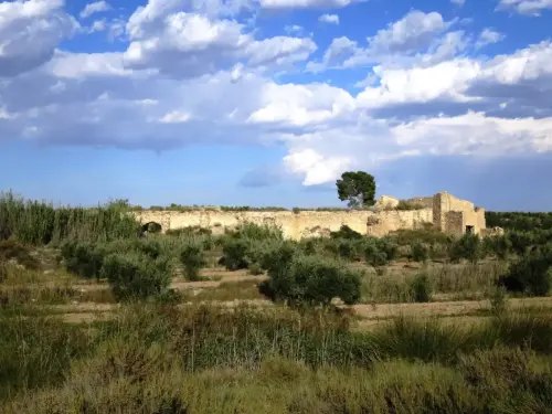 Molinos-Tobarra-Loma-Lencina