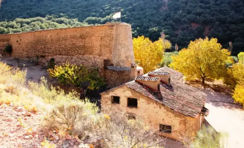 Molinos-Vianos-De-las-Angorrillas