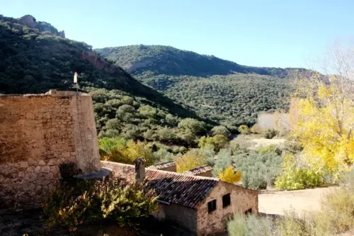 Molinos-Vianos-De-las-Angorrillas6