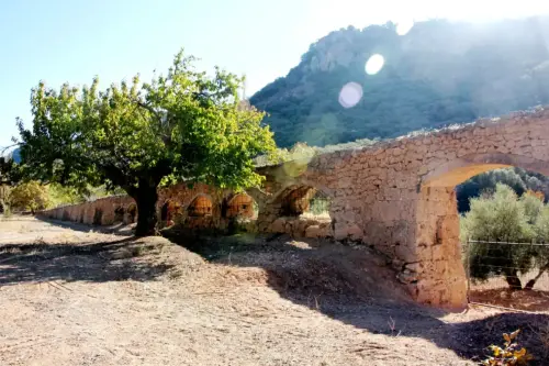 Molinos-Vianos-De-las-Angorrillas7