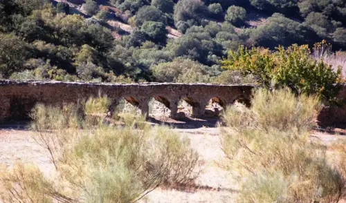 Molinos-Vianos-De-las-Angorrillas9