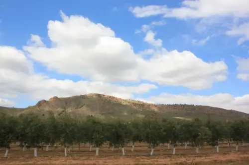 Cabeza-Llana-710-Hellin