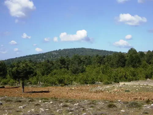 Cabeza-Rasa-1604m-Yeste3