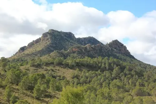 Cabeza-de-Hierro-Ferez3