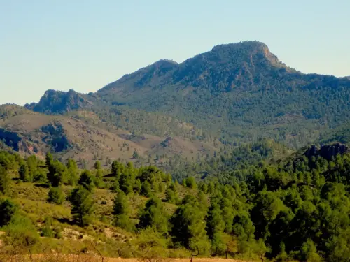 Cabeza-de-Hierro-Ferez4