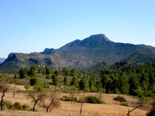 Cabeza-de-Hierro-Ferez5