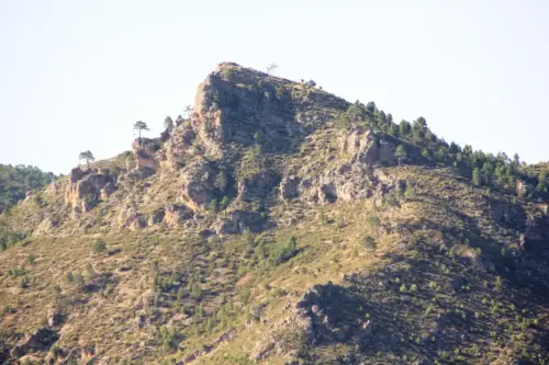 Cabeza-de-Madera-Molinicos