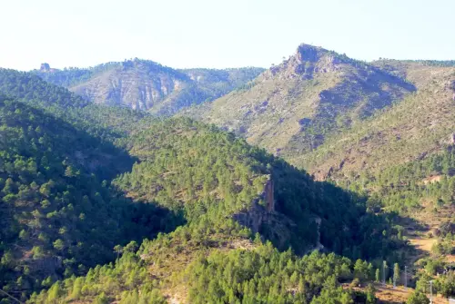 Cabeza-de-Madera-Molinicos2