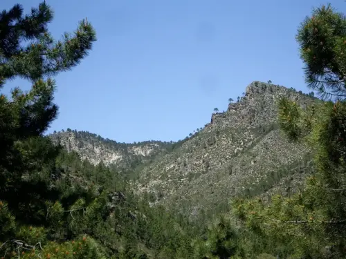 Cabeza-de-Madera-Molinicos3