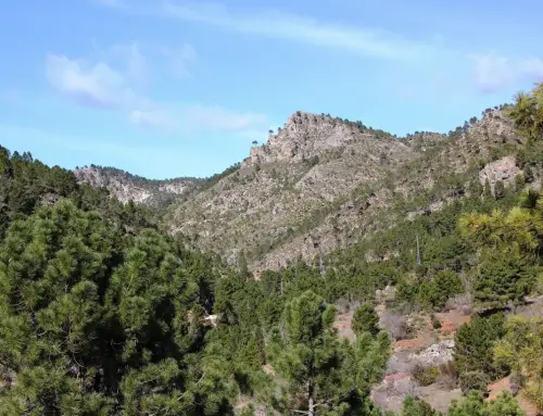 Cabeza-de-Madera-Molinicos4