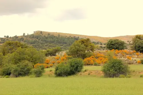 Calar-de-Gimeno-Nerpio