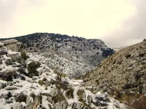 Calar-de-Jimeno-Nerpio2