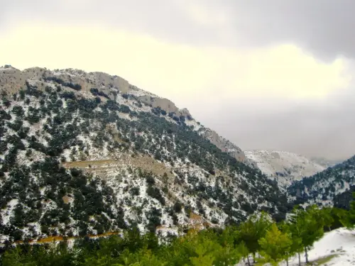 Calar-de-Jimeno-Nerpio3