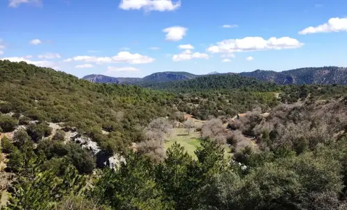 Calar-de-la-Osera-Paterna-Madera