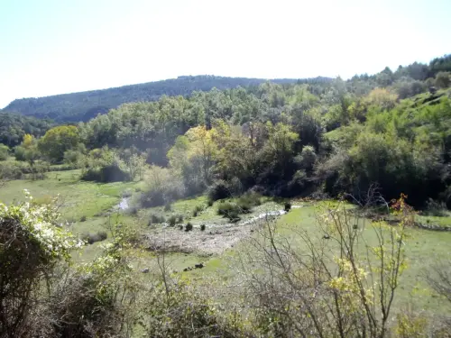 Calar-de-la-Osera-Paterna-Madera3