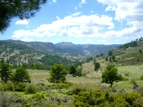 Calar-del-Lorito-Nerpio2