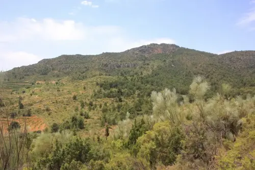 Calarico-Heredia-YesteNerpio