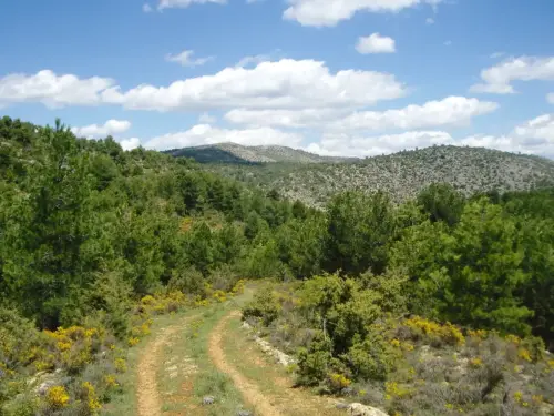Calarico-Heredia-YesteNerpio2