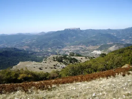 Cambron-Villaverde10