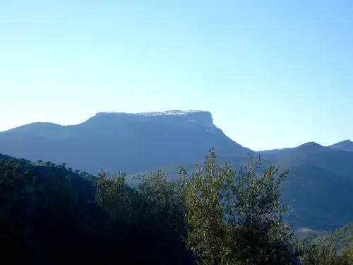 Cambron-Villaverde15