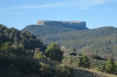 Cambron-Villaverde16