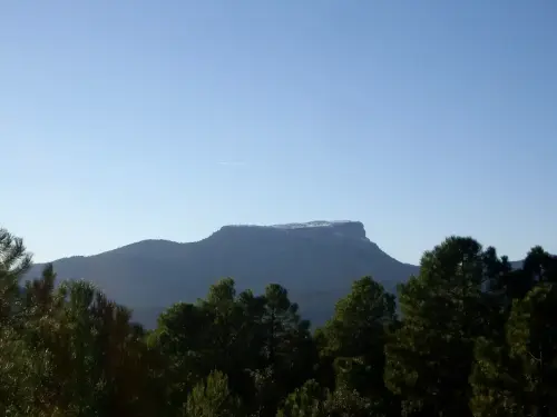 Cambron-Villaverde3-copia