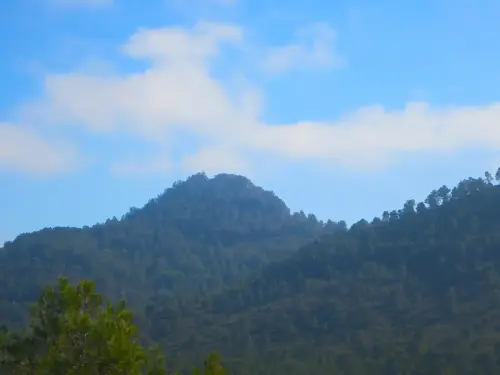 Cerro-Cinorrio-Elche-de-la-Sierra