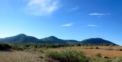 Cerro-Cinorrio-Puchilates-y-Garzon-Elche