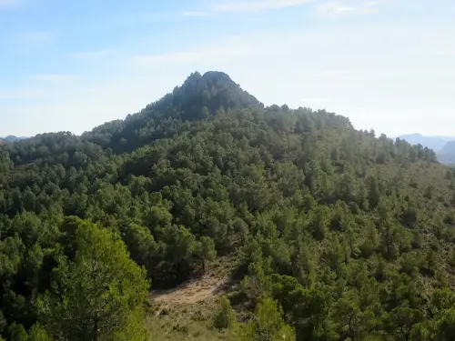 Cerro-Cinorrio2-Elche-de-la-Sierra2