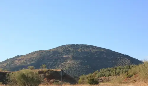 Cerro-Vico-Bienservida2