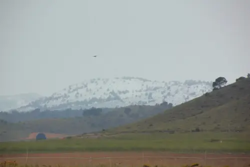 Cerro-de-Fuentealbilla-1023-Lietor