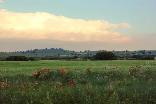 Cerro-del-Infierno-Pozohondo