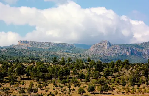 Covaroca-y-Pena-Jarota-Nerpio