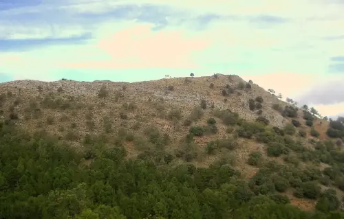 Cuerda-Larga-Paterna-del-Madera