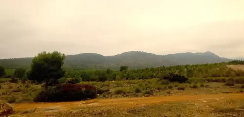 Cuerda-de-Santa-Maria4-Lietor