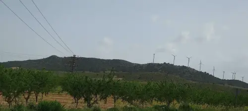 El-CerronLos-Cerrillos-Pozohondo