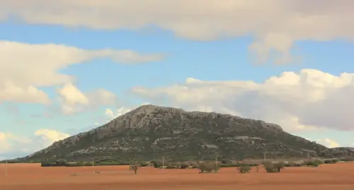 El-Chinar1-047-m.-Bonete