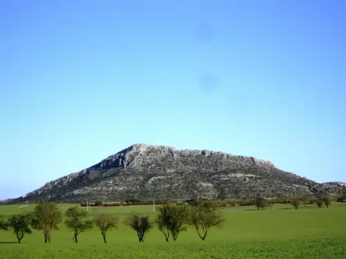 El-Chinar1-047-m.-Bonete2